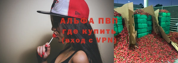 прущие грибы Рославль