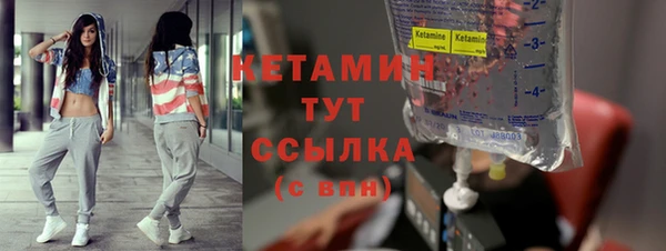 прущие грибы Рославль
