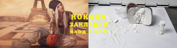 прущие грибы Рославль