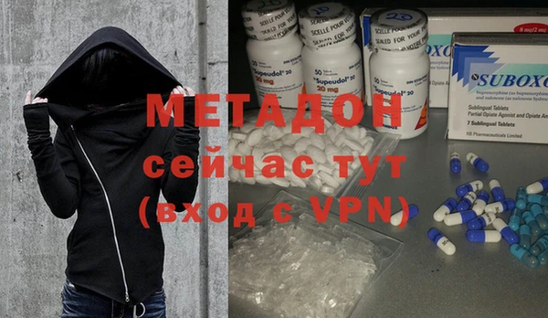 прущие грибы Рославль