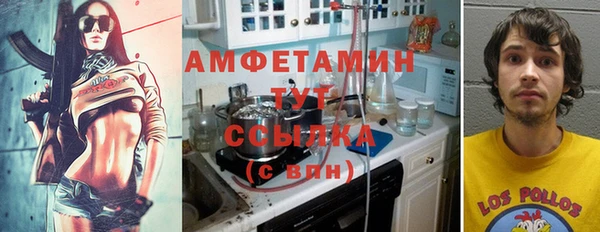 прущие грибы Рославль