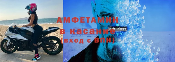 прущие грибы Рославль