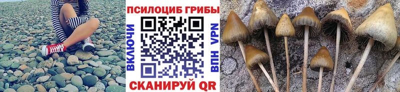 mega ONION  Донецк  Галлюциногенные грибы Cubensis 