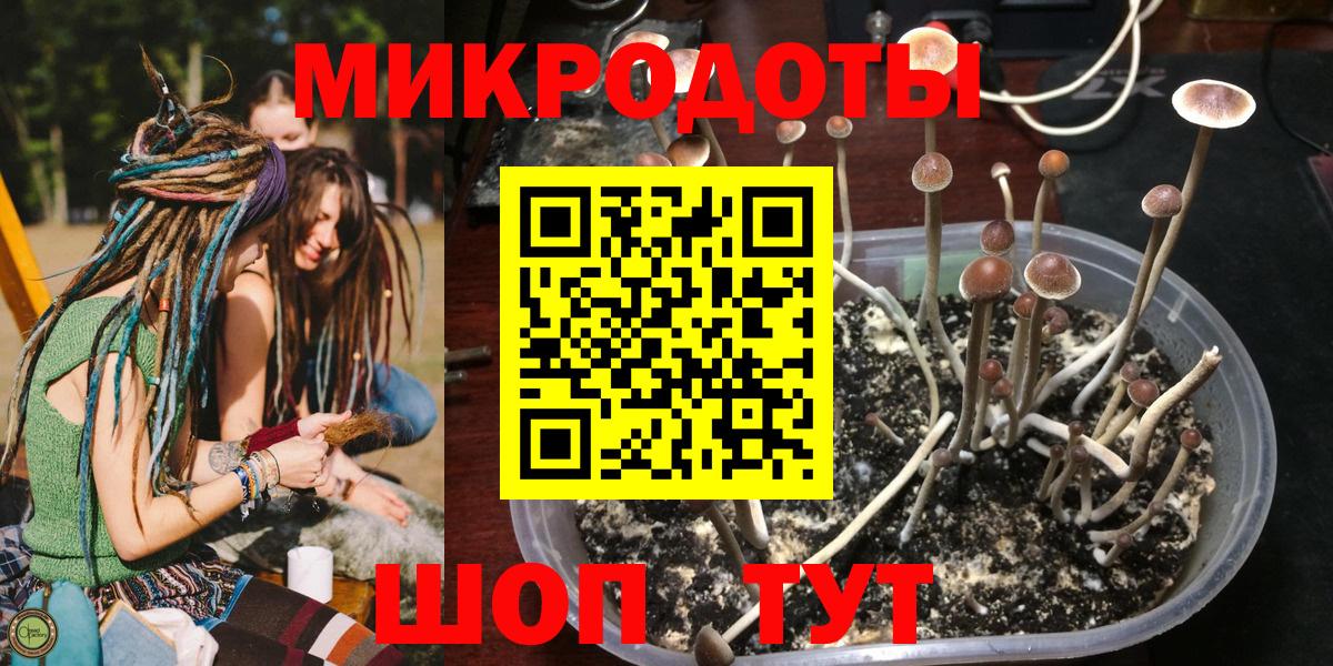 Донецк  купить  цена  Вход с VPN  Псилоцибиновые грибы прущие грибы 