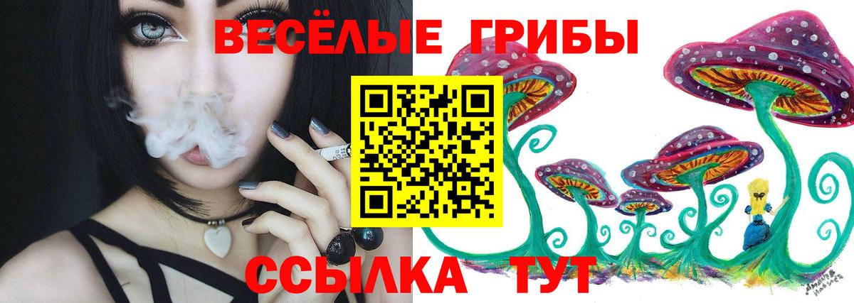Галлюциногенные грибы MAGIC MUSHROOMS Донецк